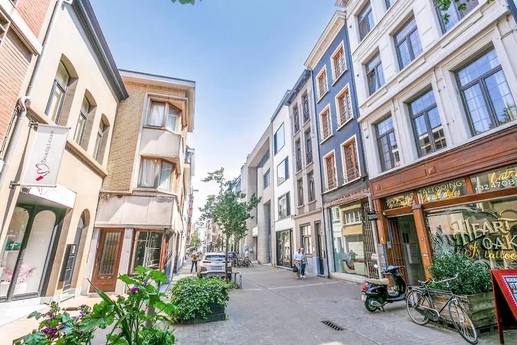 Wonderful Apartment In The Center Of אנטוורפן בלגיה